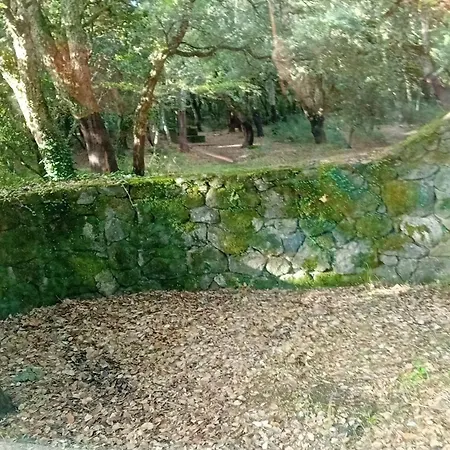 Casa Mercedes *