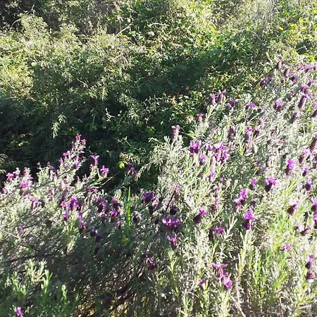 Casa Mercedes Daire *