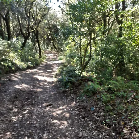 Appartement Casa Mercedes