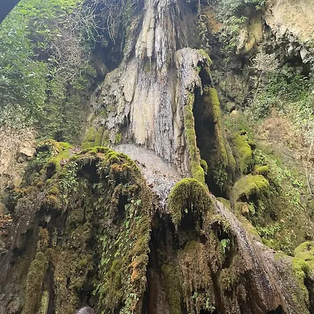 Daire Casa Mercedes *