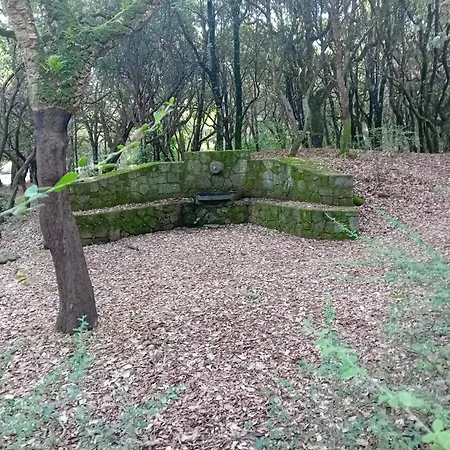 Apartment Casa Mercedes Pau