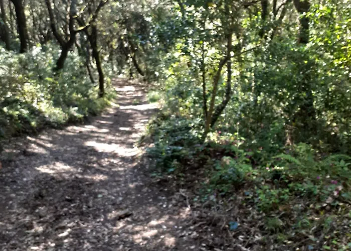 Appartement Casa Mercedes